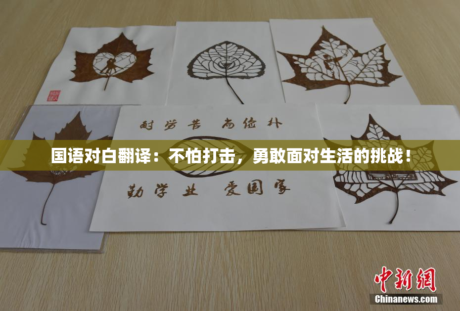 国语对白翻译：不怕打击，勇敢面对生活的挑战！