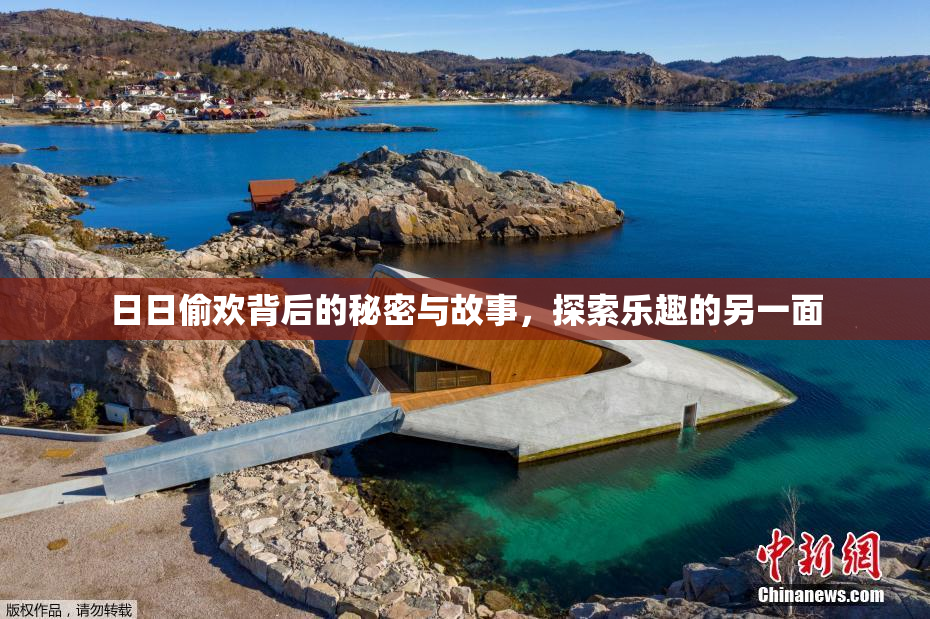 日日偷欢背后的秘密与故事，探索乐趣的另一面