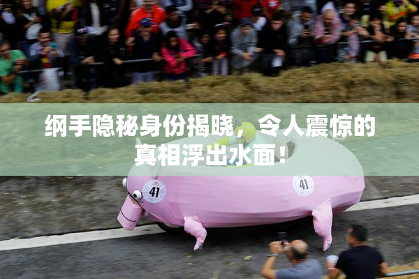纲手隐秘身份揭晓，令人震惊的真相浮出水面！
