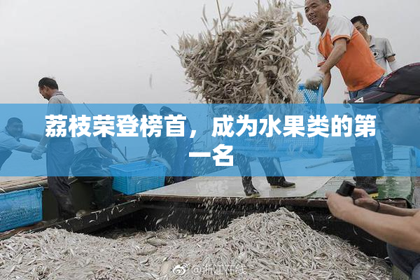 荔枝荣登榜首，成为水果类的第一名