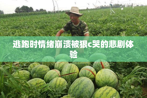 逃跑时情绪崩溃被狠c哭的悲剧体验