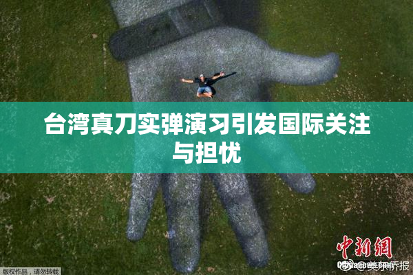 台湾真刀实弹演习引发国际关注与担忧