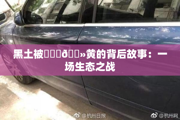 黑土被❌‌‌🐻黄的背后故事：一场生态之战
