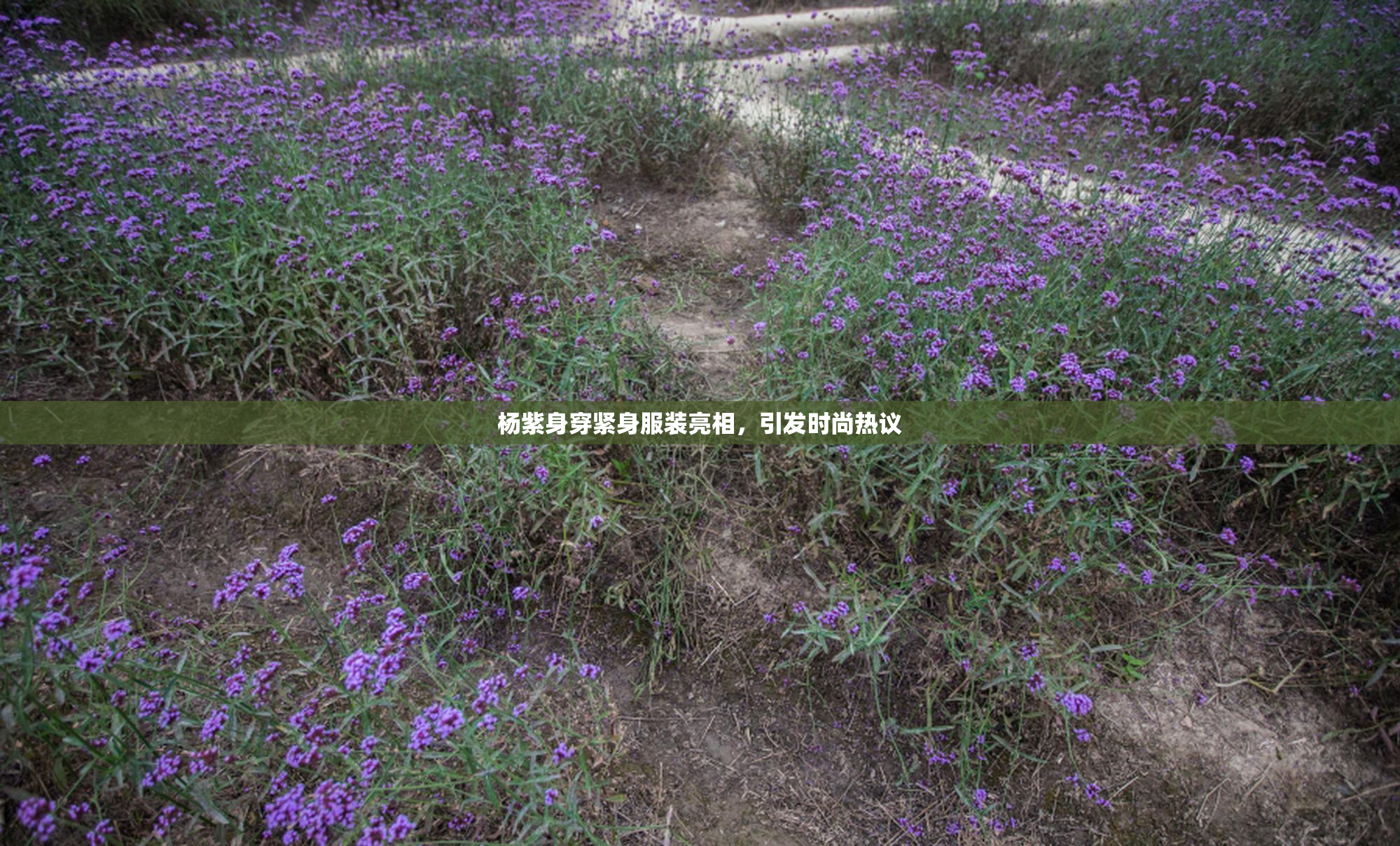 杨紫身穿紧身服装亮相，引发时尚热议