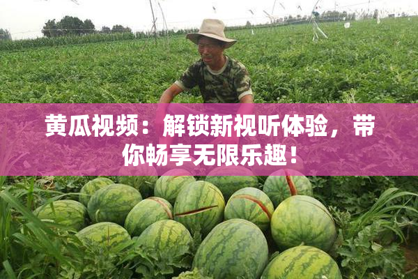 黄瓜视频：解锁新视听体验，带你畅享无限乐趣！