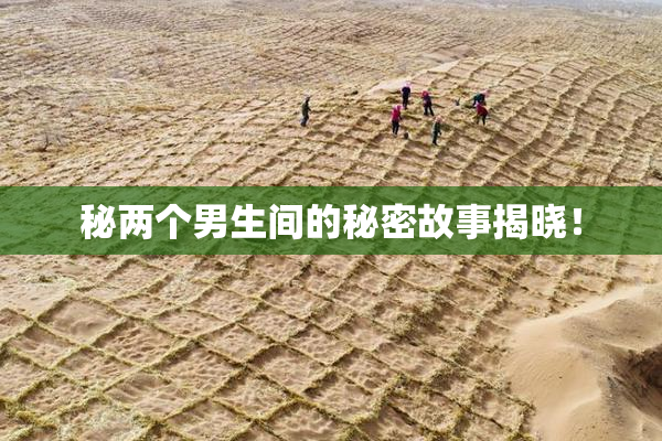 秘两个男生间的秘密故事揭晓！