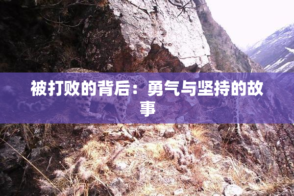 被打败的背后：勇气与坚持的故事