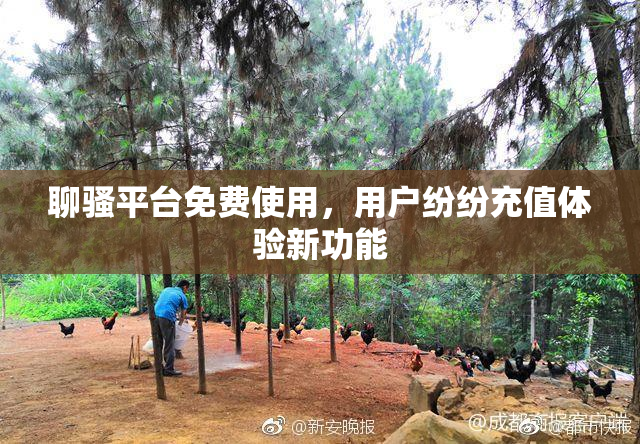 聊骚平台免费使用，用户纷纷充值体验新功能
