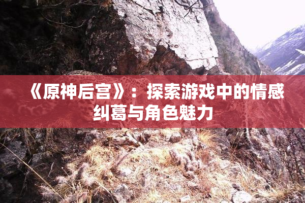 《原神后宫》：探索游戏中的情感纠葛与角色魅力
