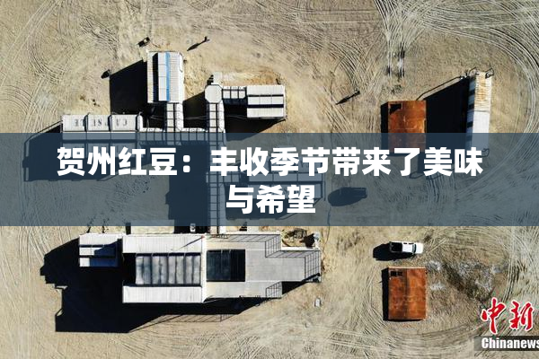 贺州红豆：丰收季节带来了美味与希望