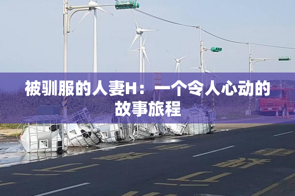 被驯服的人妻H：一个令人心动的故事旅程