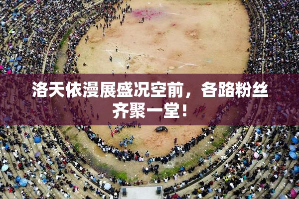洛天依漫展盛况空前，各路粉丝齐聚一堂！