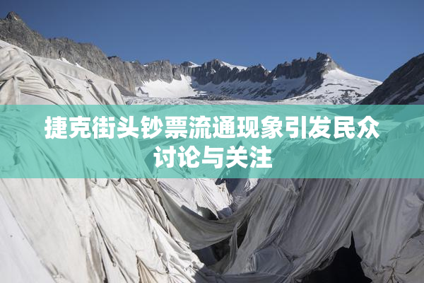 捷克街头钞票流通现象引发民众讨论与关注
