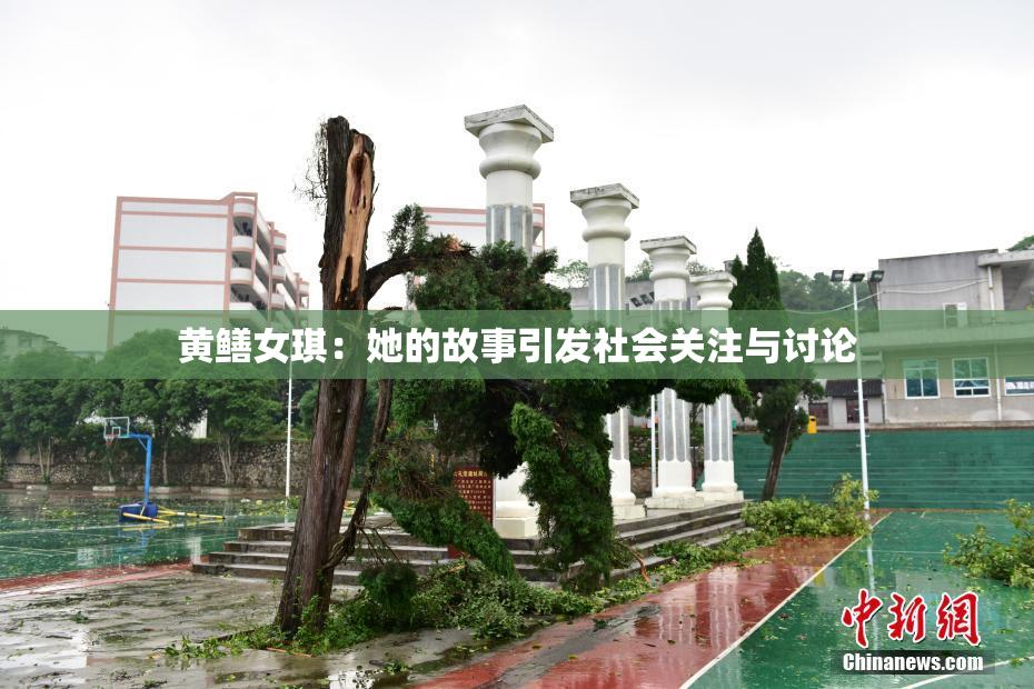 黄鳝女琪：她的故事引发社会关注与讨论