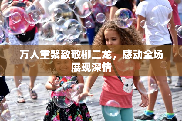万人重聚致敬柳二龙，感动全场展现深情