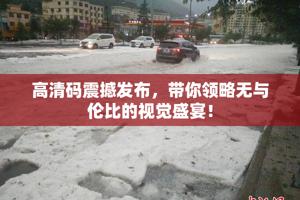 高清码震撼发布，带你领略无与伦比的视觉盛宴！