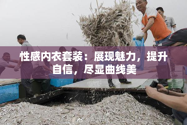 性感内衣套装：展现魅力，提升自信，尽显曲线美