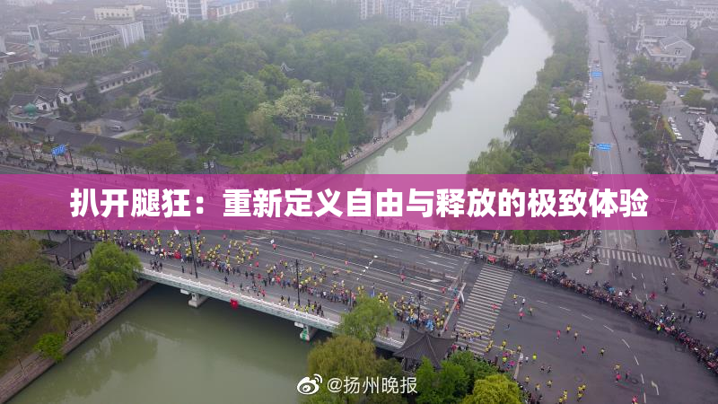 扒开腿狂：重新定义自由与释放的极致体验