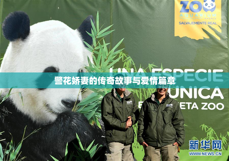 警花娇妻的传奇故事与爱情篇章