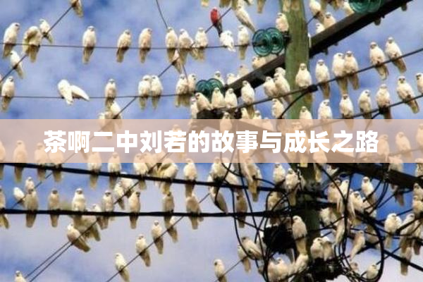 茶啊二中刘若的故事与成长之路