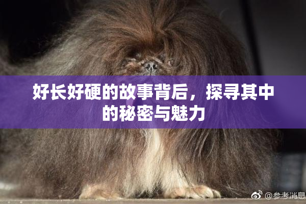 好长好硬的故事背后，探寻其中的秘密与魅力