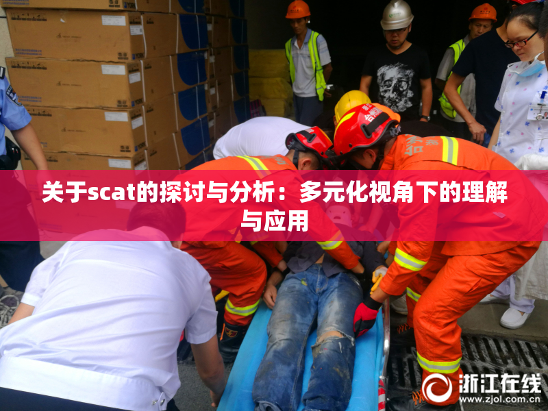 关于scat的探讨与分析：多元化视角下的理解与应用