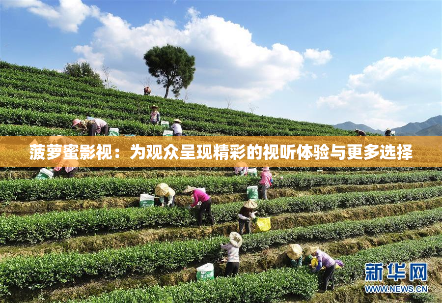 菠萝蜜影视：为观众呈现精彩的视听体验与更多选择