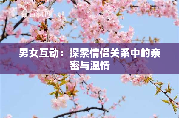 男女互动：探索情侣关系中的亲密与温情