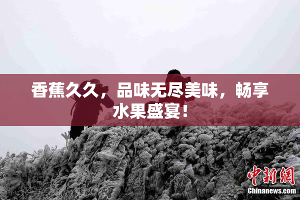 香蕉久久，品味无尽美味，畅享水果盛宴！