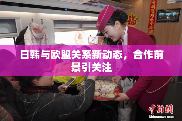 日韩与欧盟关系新动态，合作前景引关注