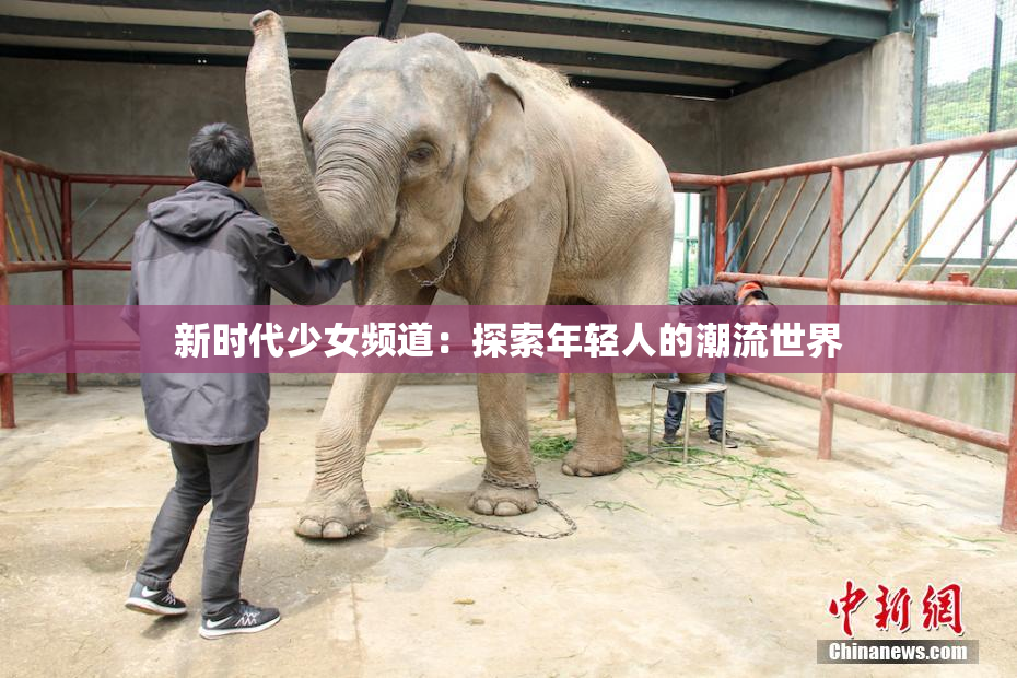 新时代少女频道：探索年轻人的潮流世界