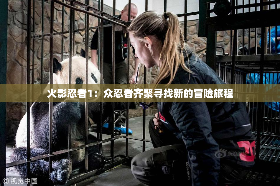火影忍者1：众忍者齐聚寻找新的冒险旅程