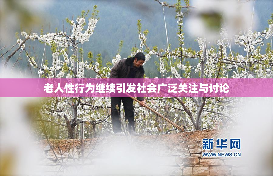 老人性行为继续引发社会广泛关注与讨论