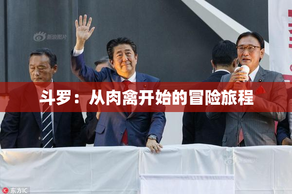 斗罗：从肉禽开始的冒险旅程