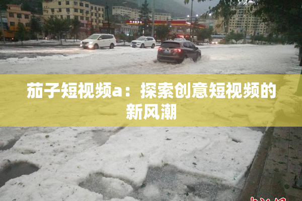 茄子短视频a：探索创意短视频的新风潮