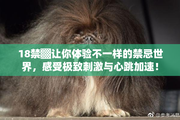 18禁▓让你体验不一样的禁忌世界，感受极致刺激与心跳加速！