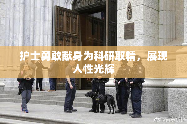 护士勇敢献身为科研取精，展现人性光辉