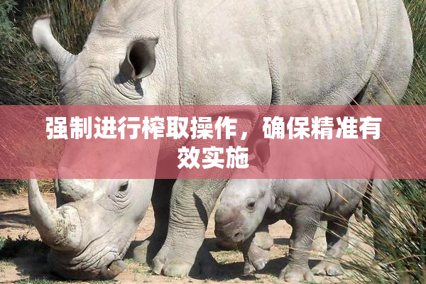 强制进行榨取操作，确保精准有效实施