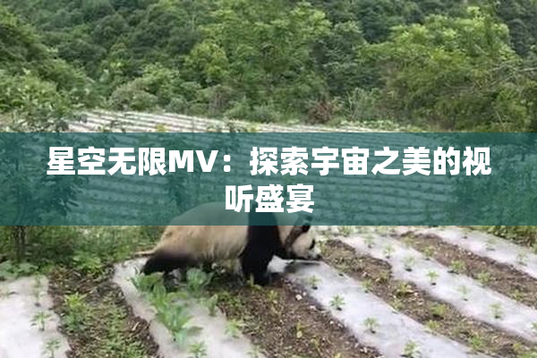星空无限MV：探索宇宙之美的视听盛宴