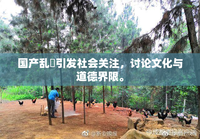 国产乱婬引发社会关注，讨论文化与道德界限。