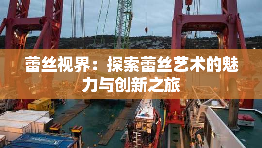 蕾丝视界：探索蕾丝艺术的魅力与创新之旅