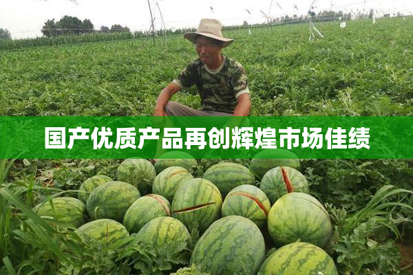 国产优质产品再创辉煌市场佳绩