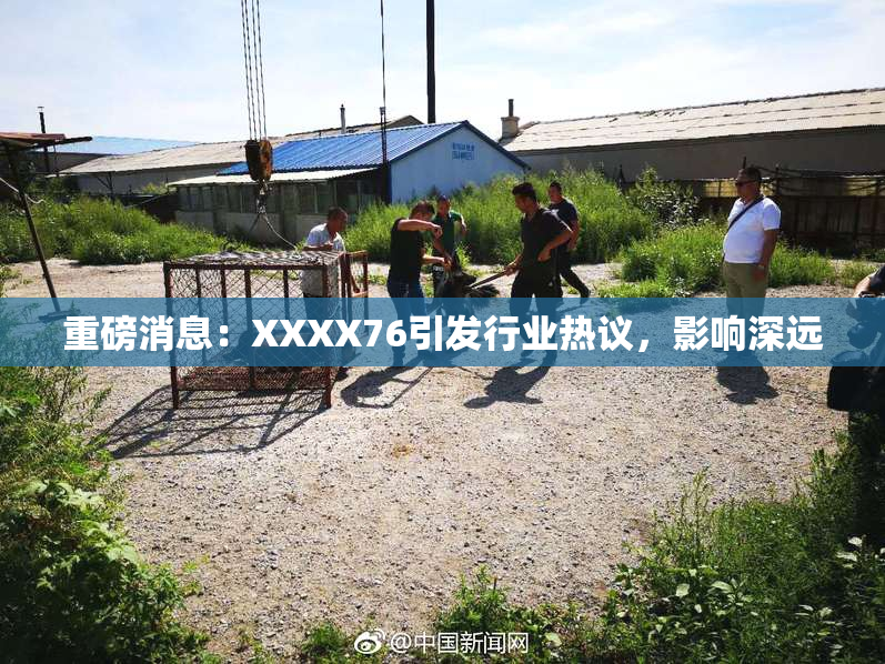 重磅消息：XXXX76引发行业热议，影响深远