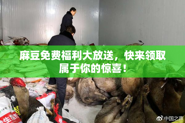 麻豆免费福利大放送，快来领取属于你的惊喜！
