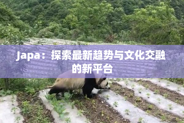 Japa：探索最新趋势与文化交融的新平台