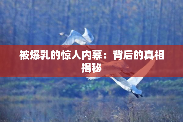 被爆乳的惊人内幕：背后的真相揭秘