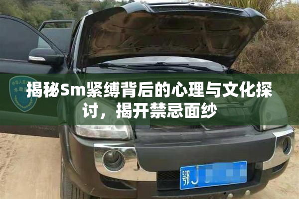 揭秘Sm紧缚背后的心理与文化探讨，揭开禁忌面纱