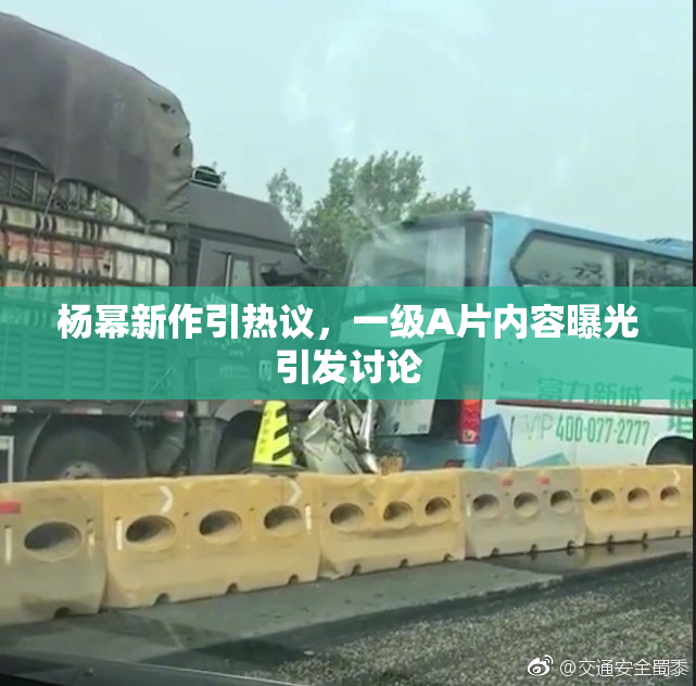 杨幂新作引热议，一级A片内容曝光引发讨论