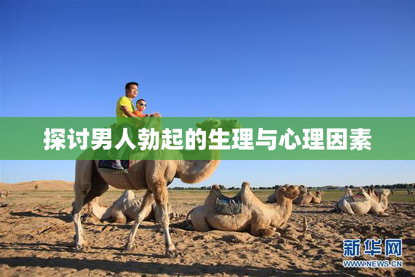 探讨男人勃起的生理与心理因素