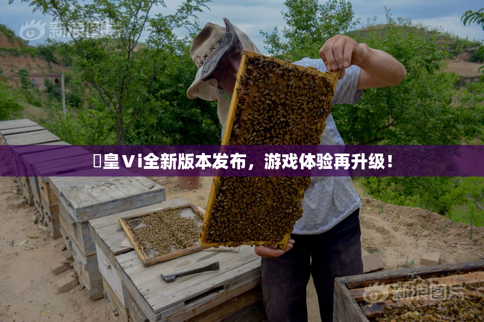 嘼皇Ⅴi全新版本发布，游戏体验再升级！